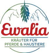 ewalia-r1-240x180-proportionalbiggest